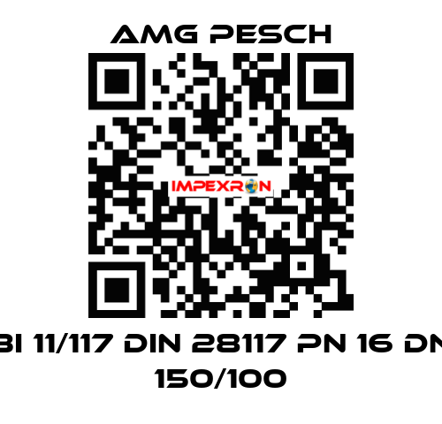 BI 11/117 DIN 28117 PN 16 DN 150/100 AMG Pesch
