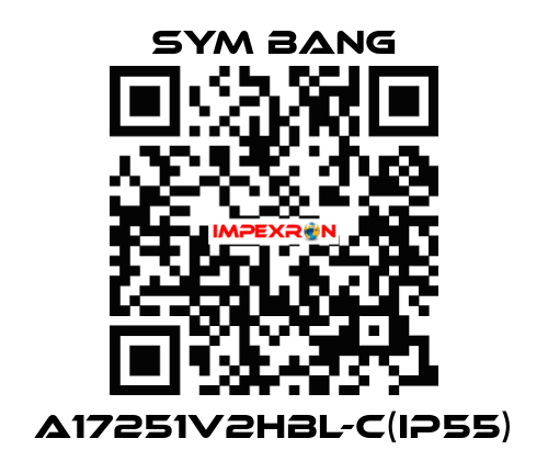 A17251V2HBL-C(IP55) SYM BANG