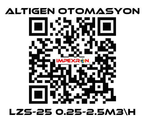 LZS-25 0.25-2.5m3\h Altıgen Otomasyon
