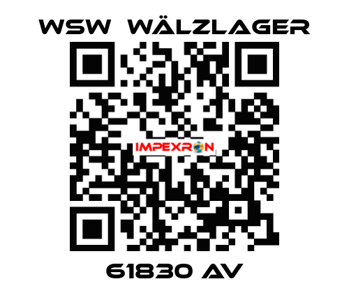 61830 AV WSW  Wälzlager