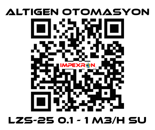LZS-25 0.1 - 1 M3/H SU Altıgen Otomasyon