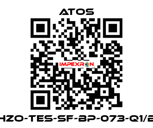 DHZO-TES-SF-BP-073-Q1/BC Atos
