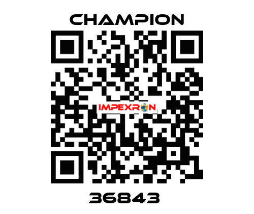 36843  Champion