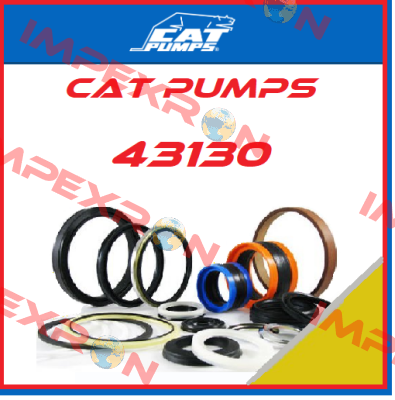 43130 Cat Pumps