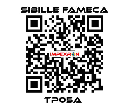 TP05A  Sibille Fameca