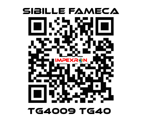TG4009 TG40  Sibille Fameca