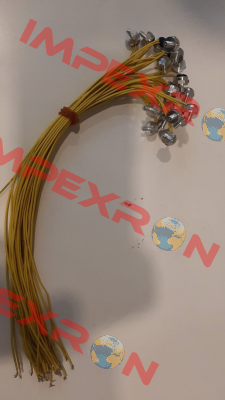 L01.130.05 Thermik