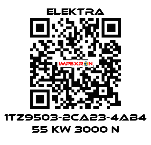 1TZ9503-2CA23-4AB4 55 kW 3000 n ELEKTRA