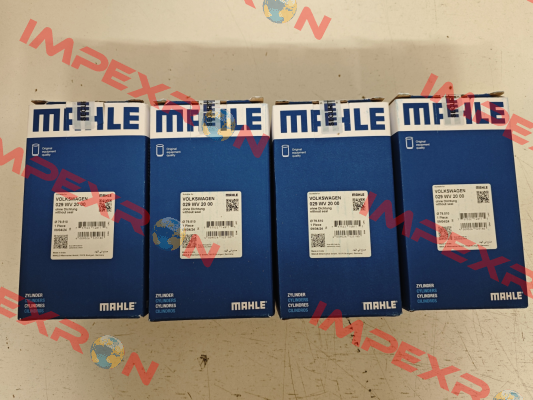 029 WV 20 00 MAHLE