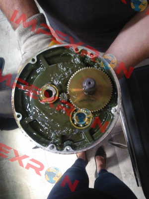 RNS 3H02S165-Y Sesame Motor