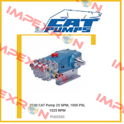 2530 Cat Pumps