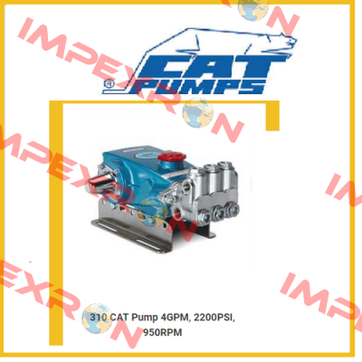 310  Cat Pumps