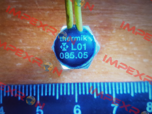 L01.085.05.0560 Thermik