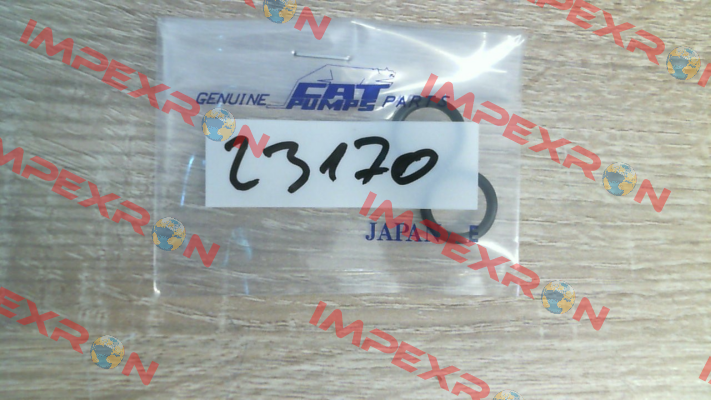 23170 Cat Pumps