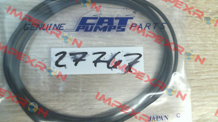27767 Cat Pumps