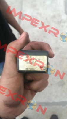 34331303 Burkert