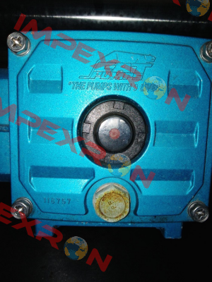 6132 Cat Pumps