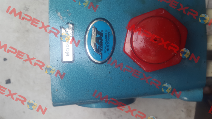 108062  Cat Pumps