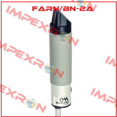 FARN/BN-2A Micro Detectors / Diell (now Datasensing)