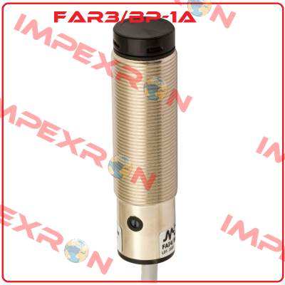 FAR3/BP-1A Micro Detectors / Diell (now Datasensing)