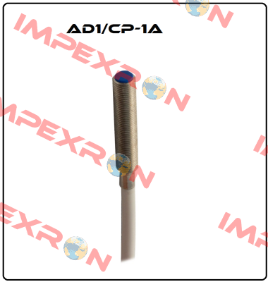 AD1/CP-1A Micro Detectors / Diell (now Datasensing)