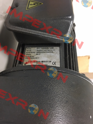 G13H200S-100 Sesame Motor