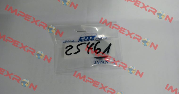 25461 - SEAL, OIL, NBR Cat Pumps